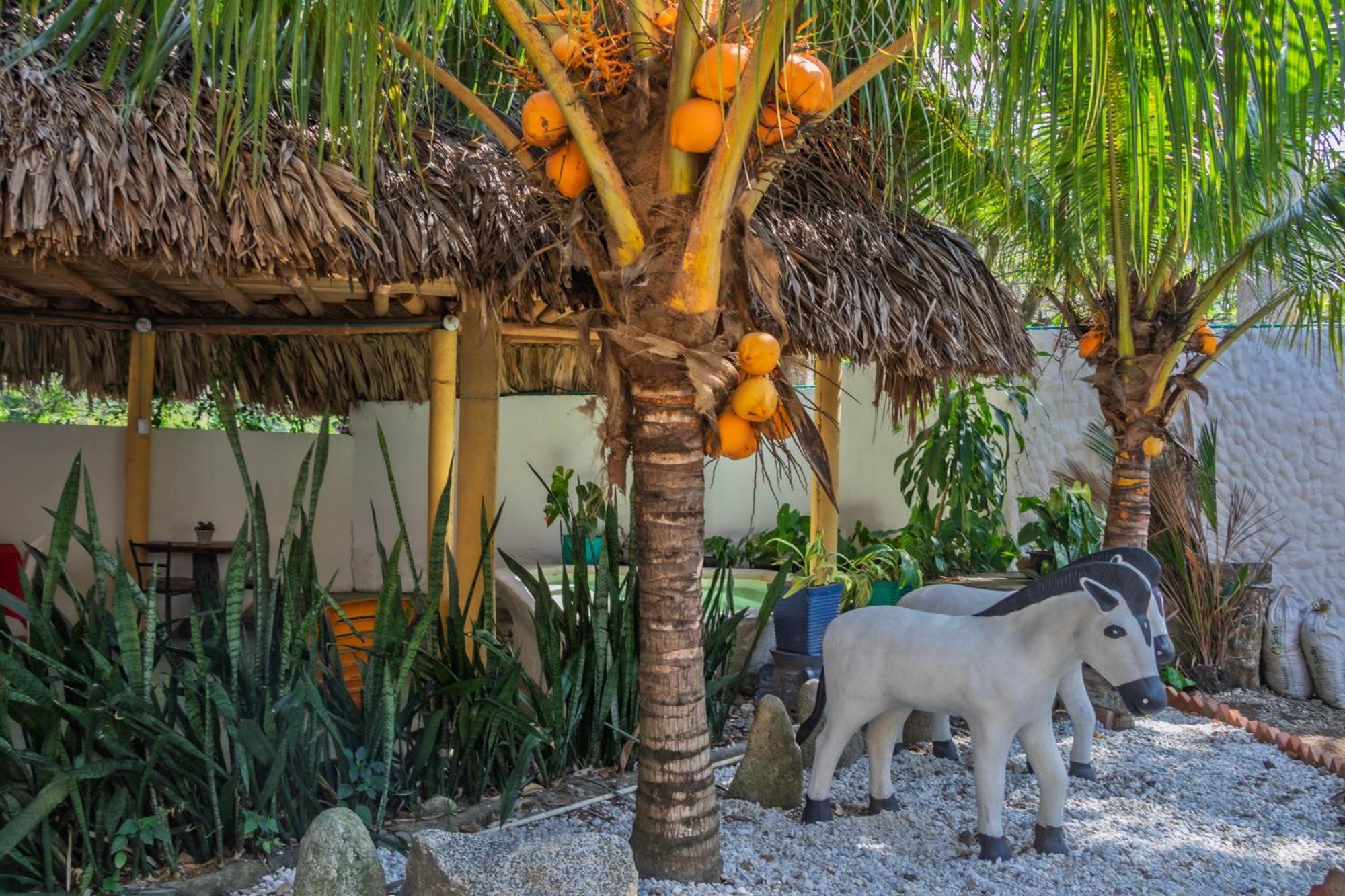 Hotel Manakin Tayrona El Zaino Exterior foto